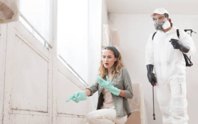 “Help! I’ve Got a Pest Infestation in —Now What?”