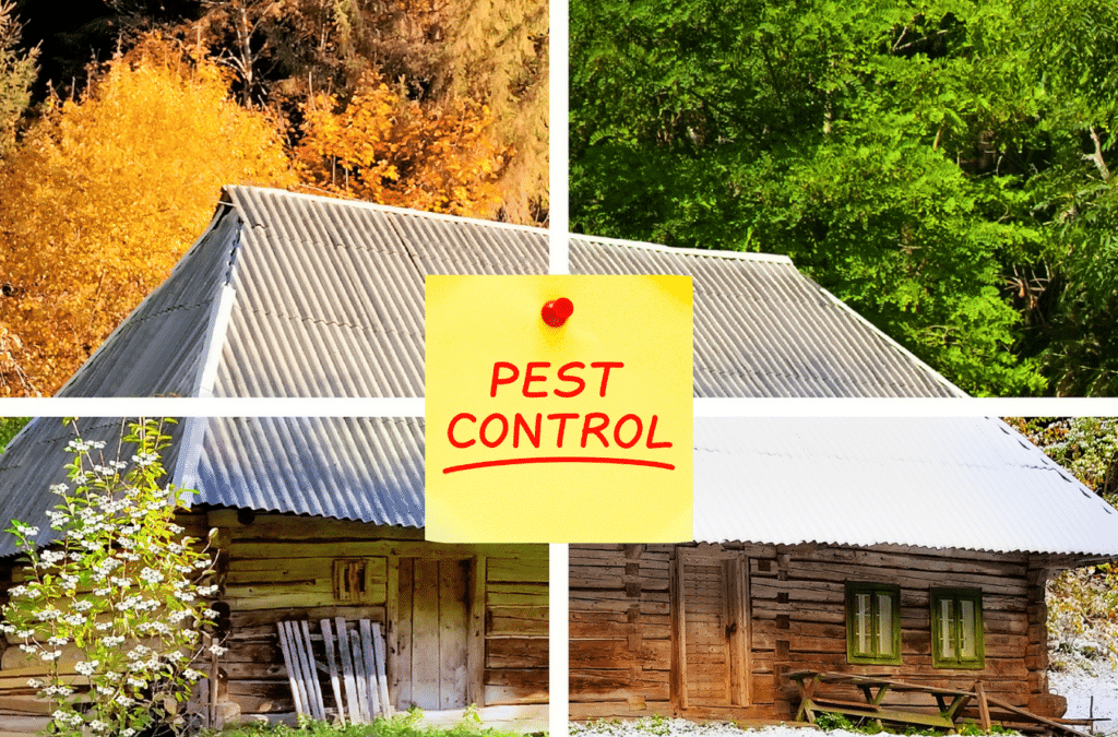 Complete Home Pest Control Services in Cincinnati: Year-Round Protection for Your Family