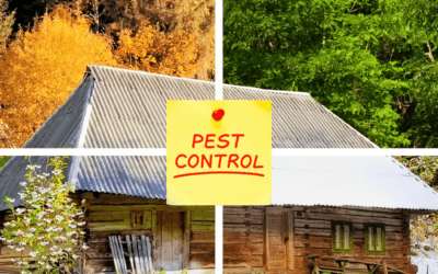 Complete Home Pest Control Services in Cincinnati: Year-Round Protection for Your Family